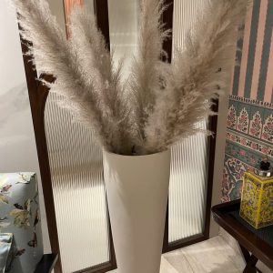 Ombre Grey Pampas