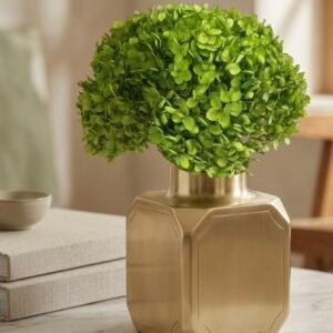 Green Hydrangea