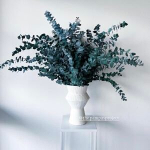 30 Stems Blue Eucalyptus