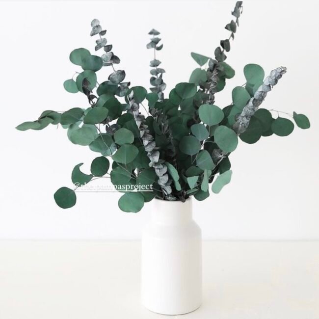 Buy Dried Flowers Online