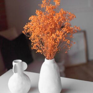 Orange Baby's Breath
