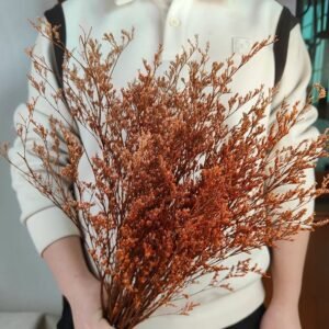 Preserved Caspia Grass