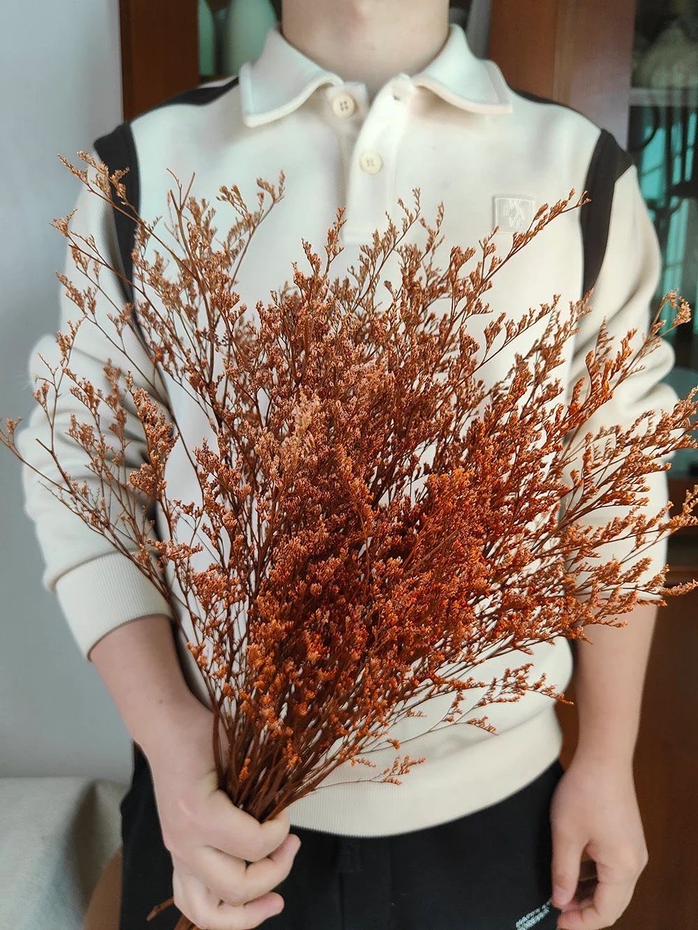 Preserved Caspia Grass